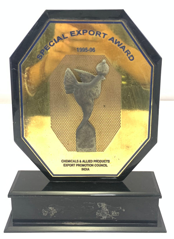 Spaecial Export Award 1995-96