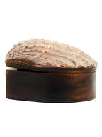 VIS 105 Wooden Burma Shell Box dastakaaristore